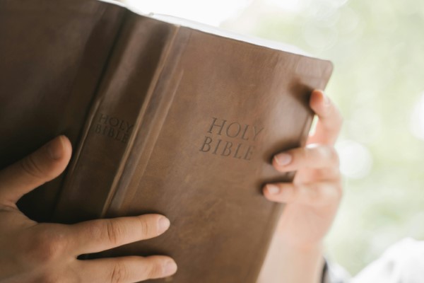 bible2 (Custom) bible2 (Custom)